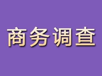 汉源商务调查