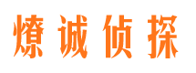 汉源市调查公司